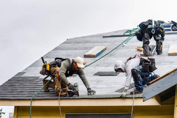 Professional Gutter Installation technician working in Sachse, TX